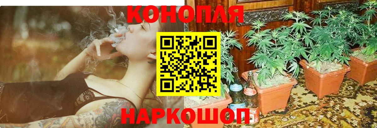 Бошки марихуана Bruce Banner  Вход с VPN  Шишки марихуана Ganja  Кинель  Марихуана AK-47 