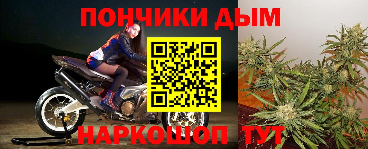 Шишки марихуана Bruce Banner Кинель